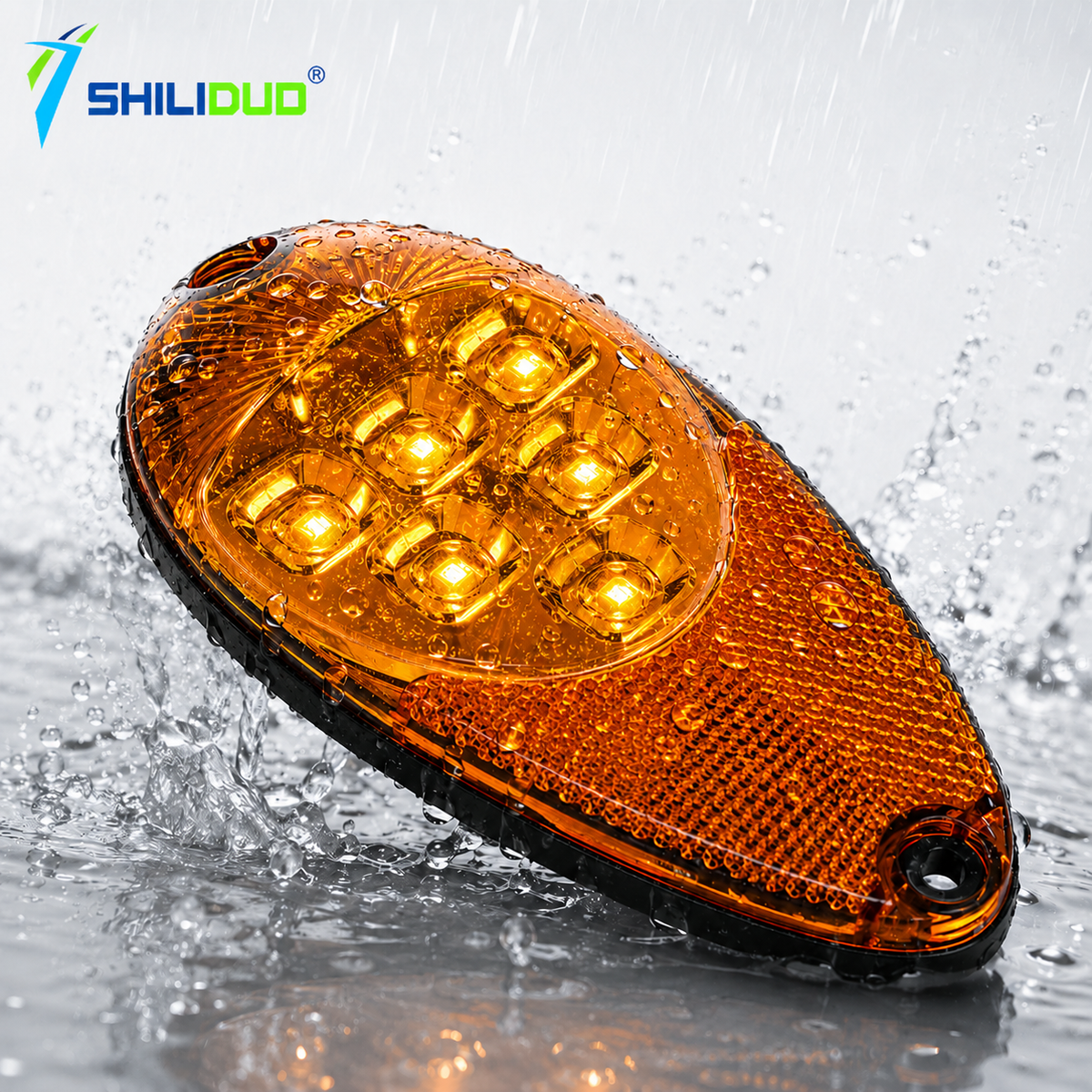 LED Side Marker & Turn Signal Light (12V/24V, IP66)